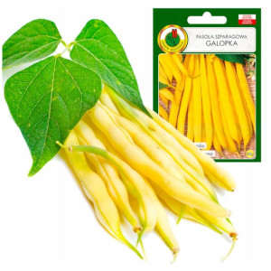 Fasola szparagowa karłowa Galopka żółta 30g