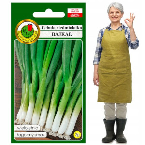 Cebula Siedmiolatka Bajkal szczypior nasiona 2g