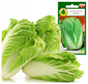 Kapusta Pekińska Bristol wczesna masa do 1,6kg 2g