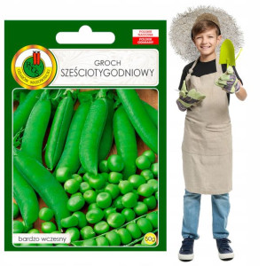Groch Sześciotygodniowy BARDZO WCZESNY plenny 50g