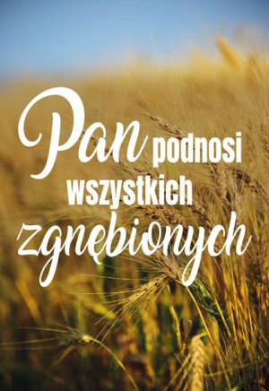 Plakat – Krajobraz Sentencja