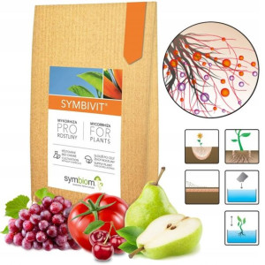 SymbiVit żywa grzybnia MIKORYZA uniwersalna 150g