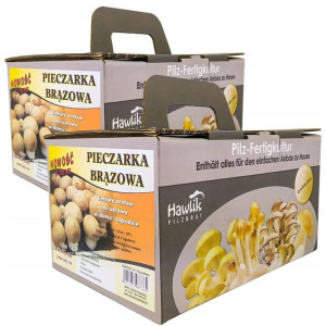 UPRAWA PIECZARKI Grzybnia Pieczarka Brązowa