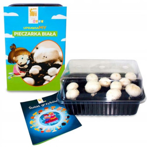 GRZYBNIA PIECZARKA UPRAWA ZESTAW dla dzieci