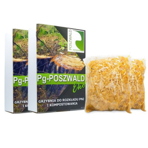 Grzybnia do rozkładu pnia Naturalne usuwanie pni 2