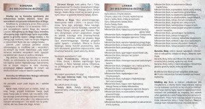 Nabożeństwo do Miłosierdzia Bożego (25 szt)
