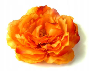 Peonia główka wyrobowa Kwiat Orange