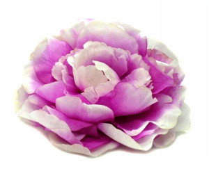 Peonia główka wyrobowa Kwiat Purple/White