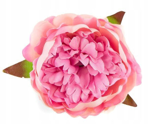 Peonia tafta główka Kwiat Pudre Pink