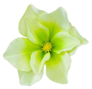 Magnolia główka satyna Green Sztuczne kwiaty