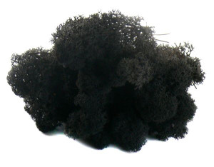 Mech CHROBOTEK RENIFEROWY 50g Black