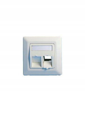 Lanview Wall plate, angled, 2 x