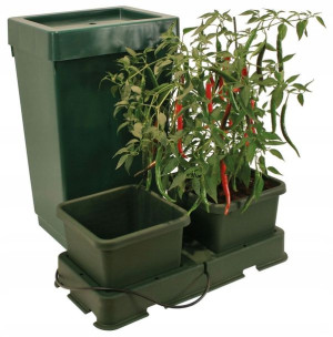 Easy 2 Grow – Zestaw do uprawy – Garland