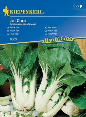 Pak Choi 'Joi Choi' F1 - nasiona Kiepenkerl