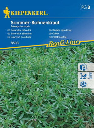 Cząber Ogrodowy 'Sommer-Bohnenkraut' – Kiepenkerl