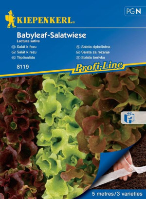Sałata Dębolistna 'Babyleaf-Salatwiese' Kiepenkerl