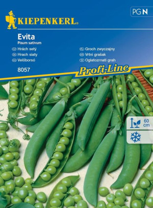Groch Zwyczajny 'Evita' – Kiepenkerl