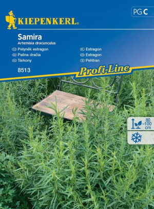 Estragon 'Samira' – Kiepenkerl