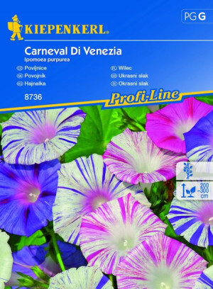 Wilec Carneval Di Venezia nasiona – Kiepenkerl