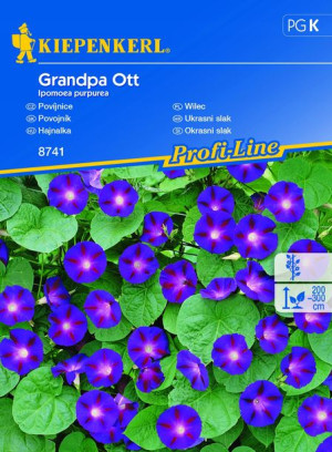 Wilec Grandpa Ott nasiona – Kiepenkerl