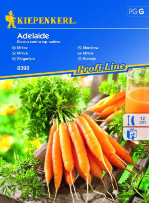 Marchew Adelaide nasiona – Kiepenkerl