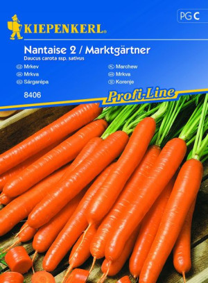Marchew Nantaise 2/Marktgärtner nasiona Kiepenkerl