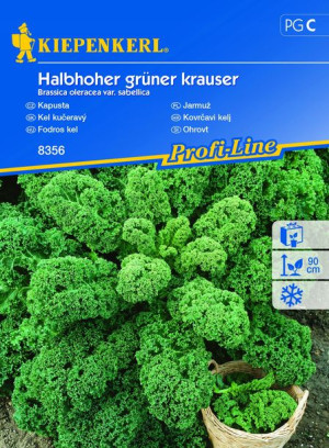 Jarmuż Halbhoher Grüner Krauser nasiona Kiepenkerl