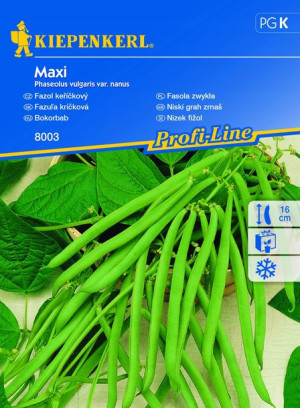 Fasola Zwykła Maxi nasiona – Kiepenkerl