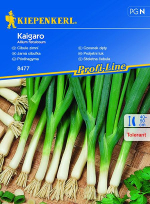 Czosnek Dęty Kaigaro nasiona – Kiepenkerl