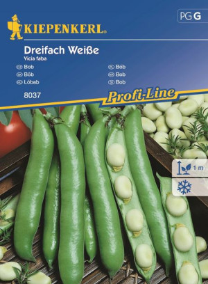 Bób Dreifach Weiße nasiona – Kiepenkerl