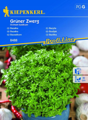 Bazylia Grüner Zwerg nasiona – Kiepenkerl