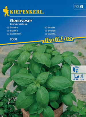 Bazylia Genoveser nasiona – Kiepenkerl