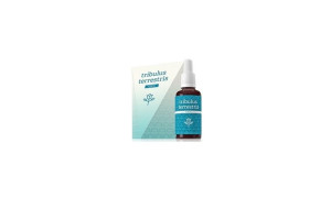 Tribulus terrestris krople 30ml Energy