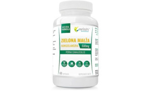 Zielona Małża Nowozelandzka 500mg 60kapsułek Wish Pharmaceutical