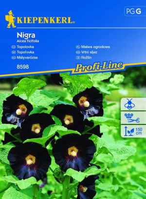 Malwa Ogrodowa Nigra - Kiepenkerl