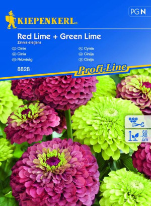 Cynia Red Lime + Green Lime - Kiepenkerl