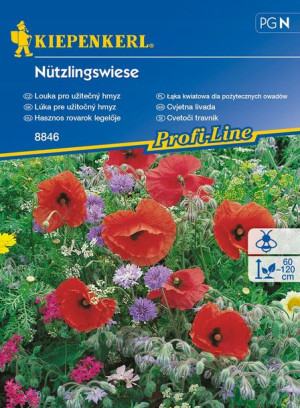 Łąka kwiatowa dla pożytecznych owadów Nutzlingswie