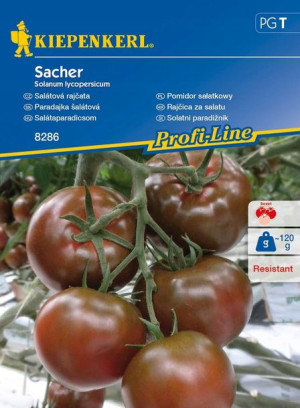 Pomidor Sałatkowy 'Sacher' F1 - Ciemny - Kiepenker