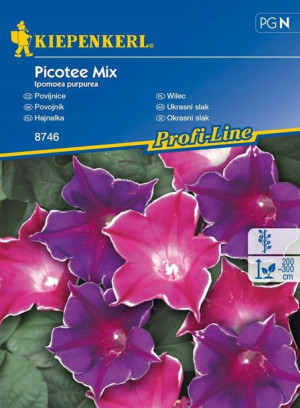 Wilec 'Picotee' - Mix - Kiepenkerl