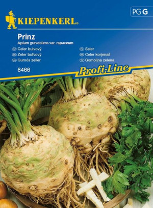 Seler 'Prinz' - Dorodny - Kiepenkerl