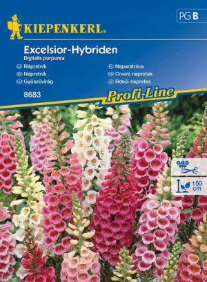 Naparstnica 'Excelsior' - Dwuletnia - Kiepenkerl