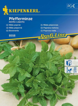 Mięta Pieprzowa - Wieloletnia - Kiepenkerl