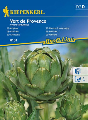 Karczoch 'Vert de Provence' - Wieloletni - Kiepenk
