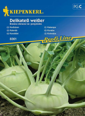 Kalarepa 'Delikateß weißer' - Delikatna - Kiepenke