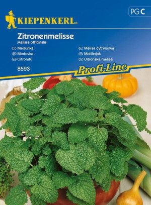 Melisa Cytrynowa - Wieloletnia - Kiepenkerl