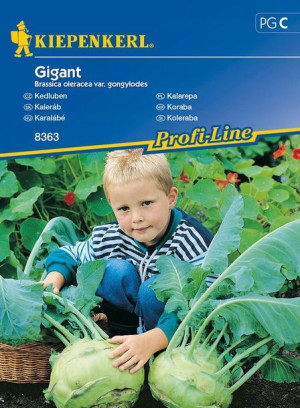 Kalarepa 'Gigant' - Na Późny Zbiór - Kiepenkerl