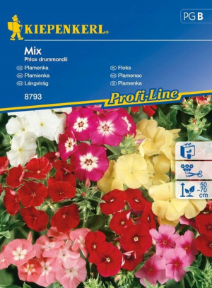 Floks Drymmonda - Mix Nasion - Kiepenkerl