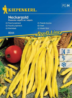 Fasola Tyczna 'Neckargold' - Żółta - Kiepenkerl