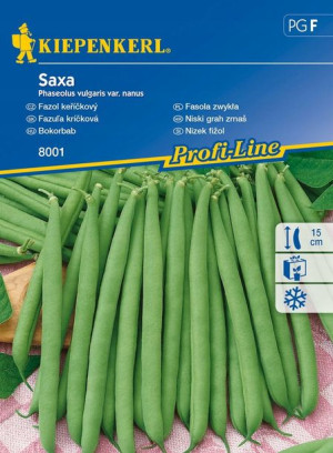 Fasola Szparagowa 'Saxa' - Wczesna - Kiepenkerl