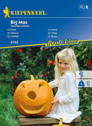 Dynia 'Big Max' - Olbrzymia - Kiepenkerl